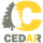 Cedar.AI
