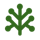Corymbus