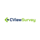 CViewSurvey