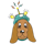 Growth Hound